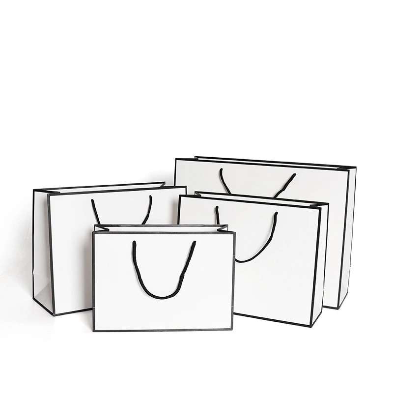 Custom Logo Printing Paper Shopping Bags for Clothing Carrier Gift Bag Manufacturer