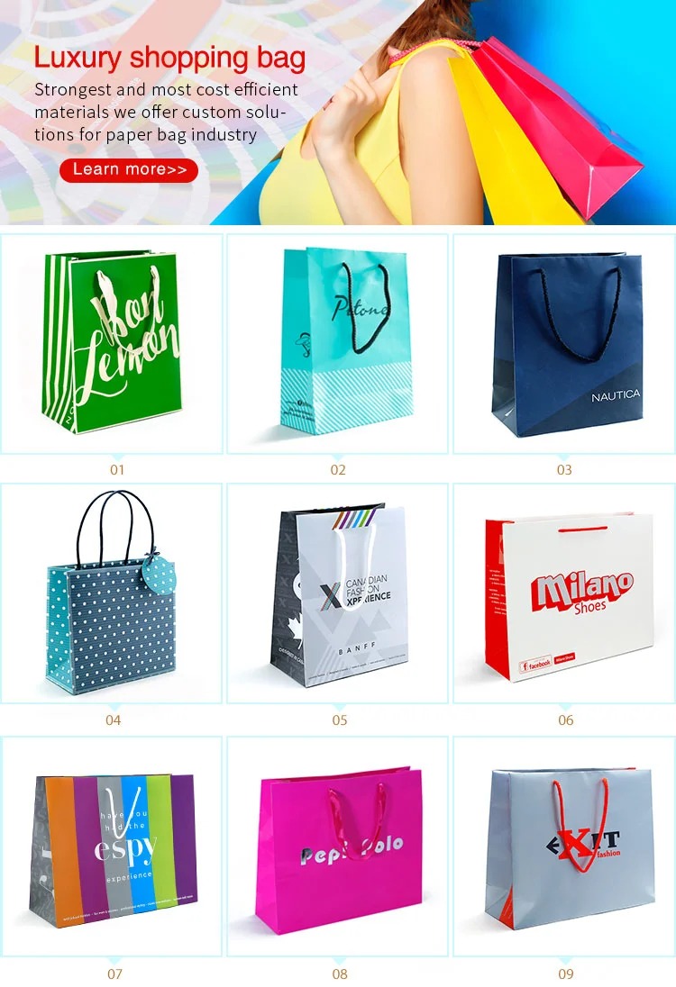 Custom Logo Printing Paper Shopping Bags for Clothing Carrier Gift Bag Manufacturer